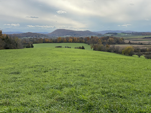 A serene view of a green field with distant mountains under a cloudy sky.