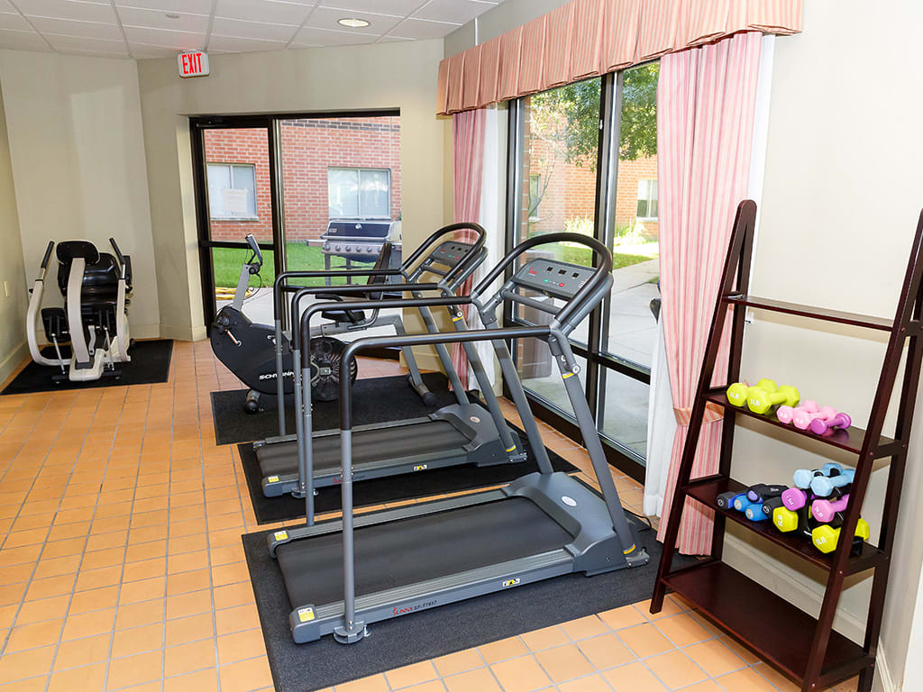 A small gym with treadmills and a rack of colorful weights by the window.