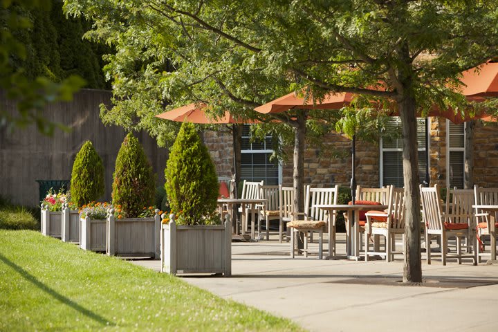 A serene outdoor patio area with tables, chairs, and umbrellas surrounded by lush greenery.