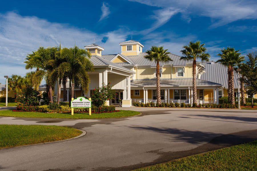 A sunny view of a modern building with palm trees lining the entrance and a circular driveway.