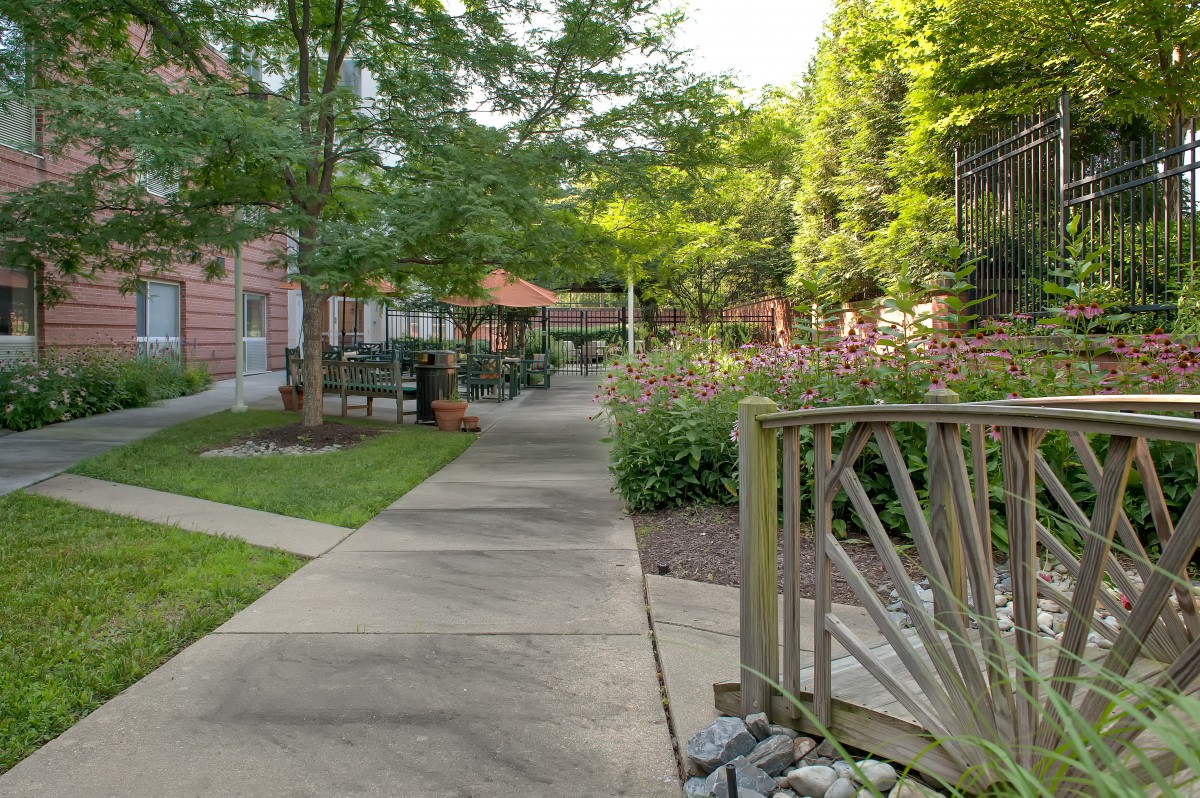 A peaceful garden pathway surrounded by lush greenery and flowers.