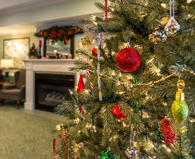 A beautifully decorated Christmas tree with red and gold ornaments and twinkling lights stands in a cozy living room next to a fireplace.