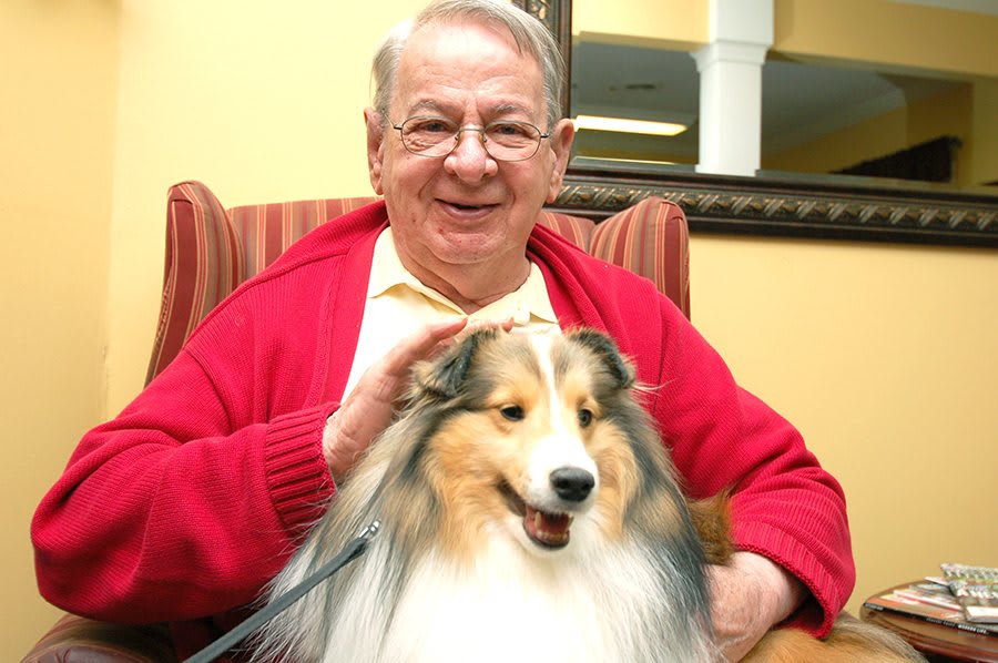 An elderly man smiles while petting a Shetland Sheepdog indoors.