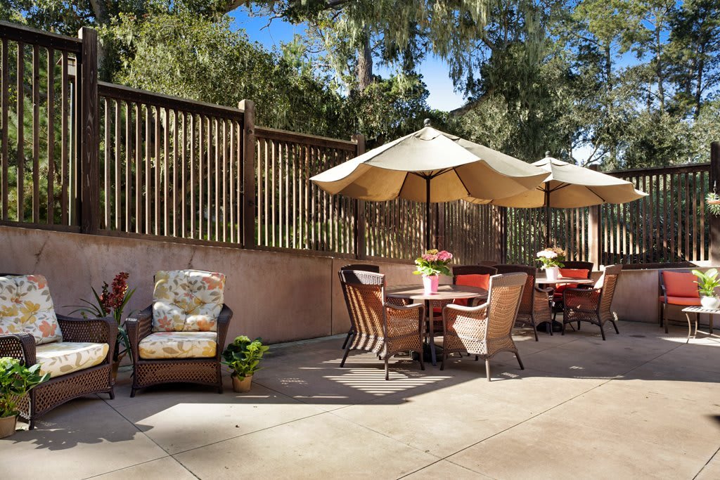 A sunny outdoor patio with tables, chairs, and umbrellas surrounded by plants and a wooden fence.