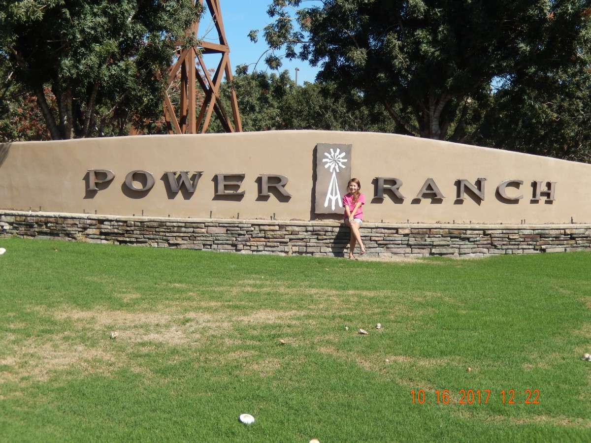 Majestic Rose - Power Ranch
