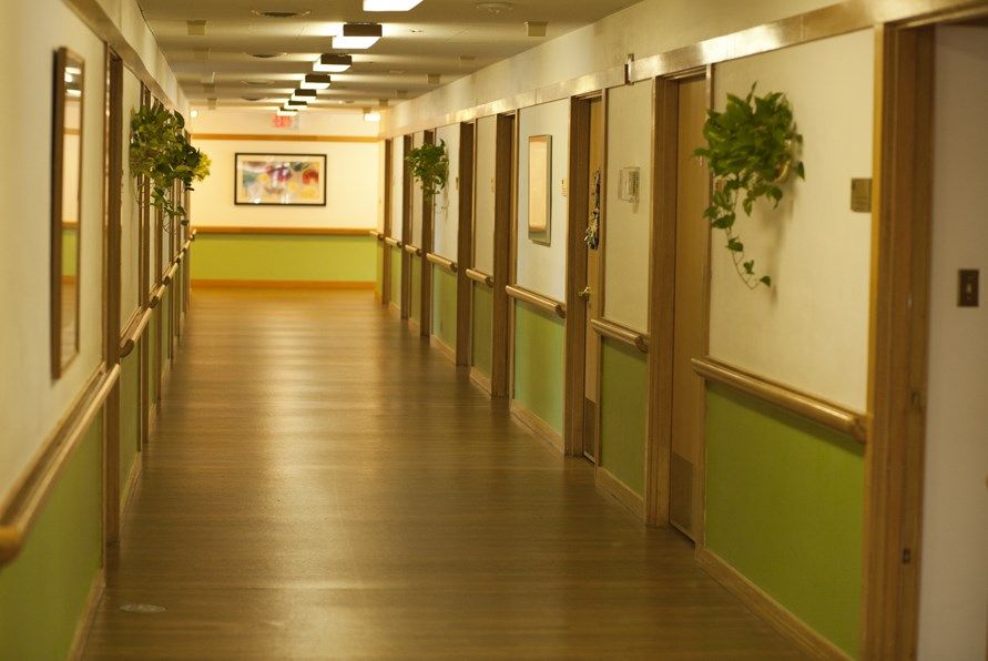 A well-lit corridor with wooden flooring and indoor plants hanging on the walls.