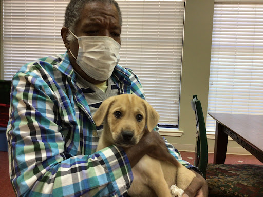 A person wearing a mask gently holds a cute puppy in an indoor setting.