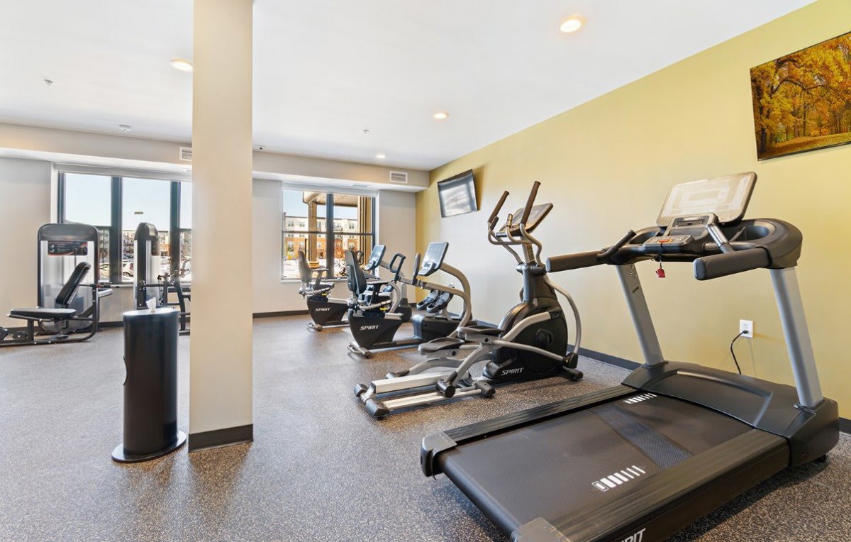 A modern gym equipped with treadmills and ellipticals for fitness enthusiasts.