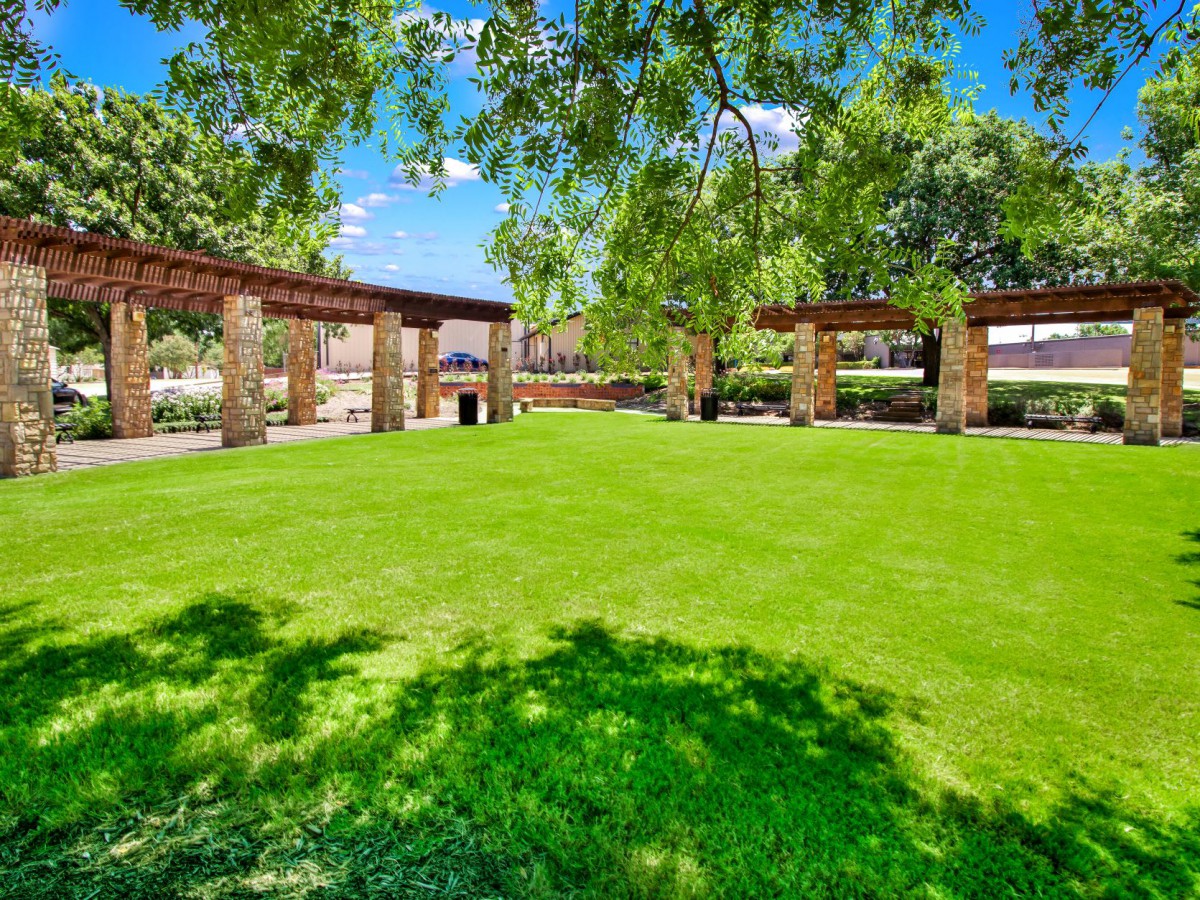 A sunny day in a park with lush green grass and shady trees.