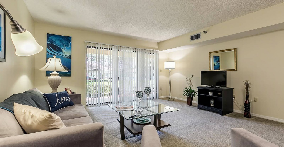 A modern living room with comfortable seating, a glass coffee table, and a TV, complemented by indoor plants for a cozy atmosphere.
