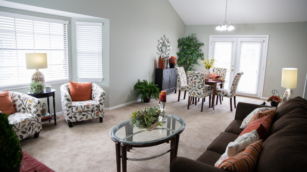 A modern living and dining area featuring elegant furniture, decorative plants, and ample natural light.