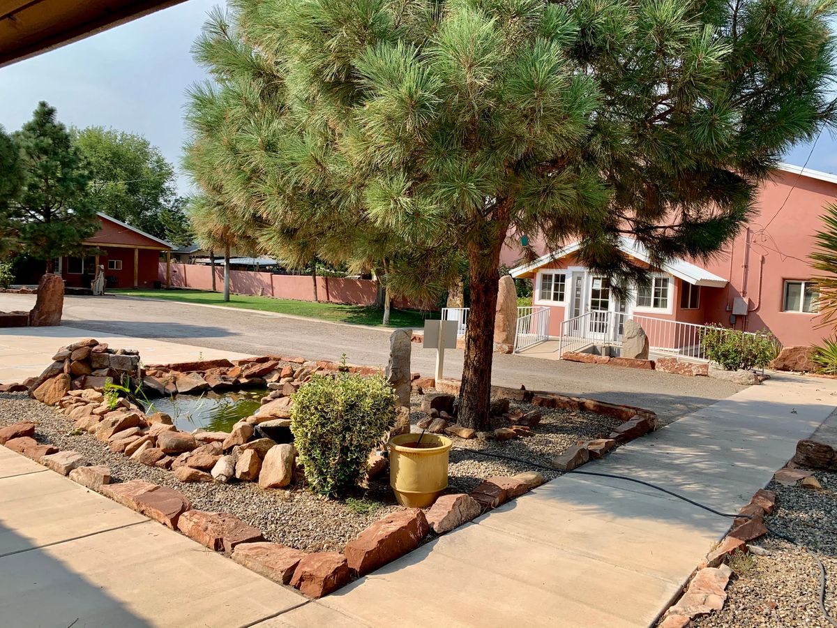 A well-maintained garden with trees and a pathway surrounded by rocks and plants.