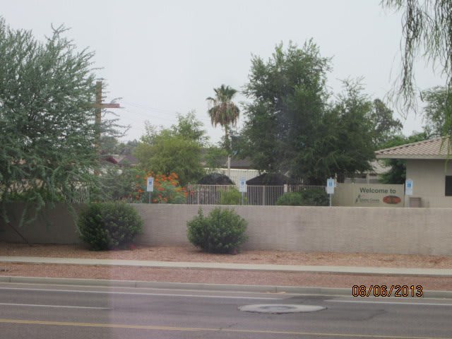 A suburban street view with trees and a residential wall.