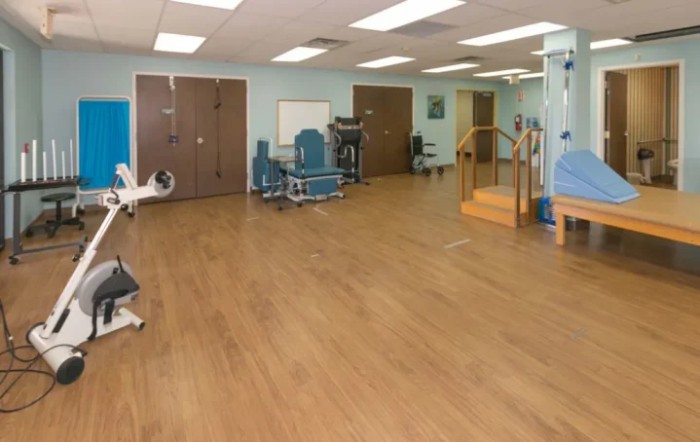 The Phoenix Post - Acute Care