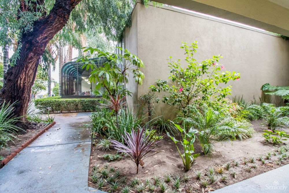 A small, well-maintained garden with various plants along a pathway.