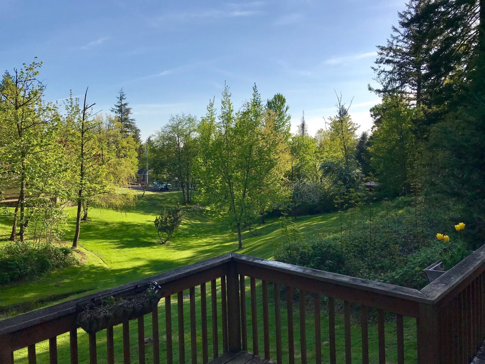 A scenic view of a lush green landscape from a wooden deck, illuminated by the morning sun.