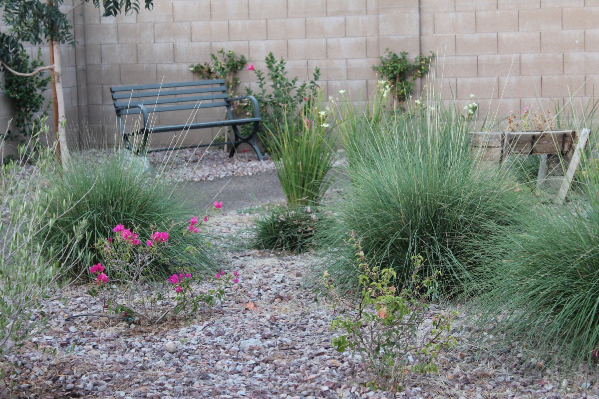 Estancia Assisted Living