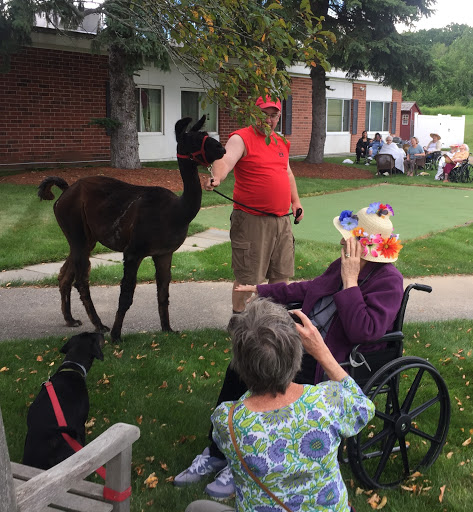 Residents enjoy a visit from a friendly llama, bringing smiles and joy to the community.