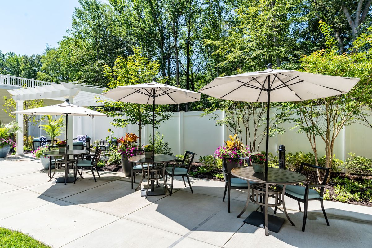 A sunny outdoor patio area with tables, chairs, and umbrellas surrounded by greenery.