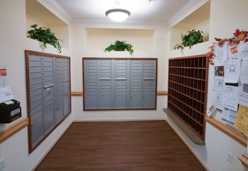 A well-organized mailroom with multiple mailboxes and potted plants on display.