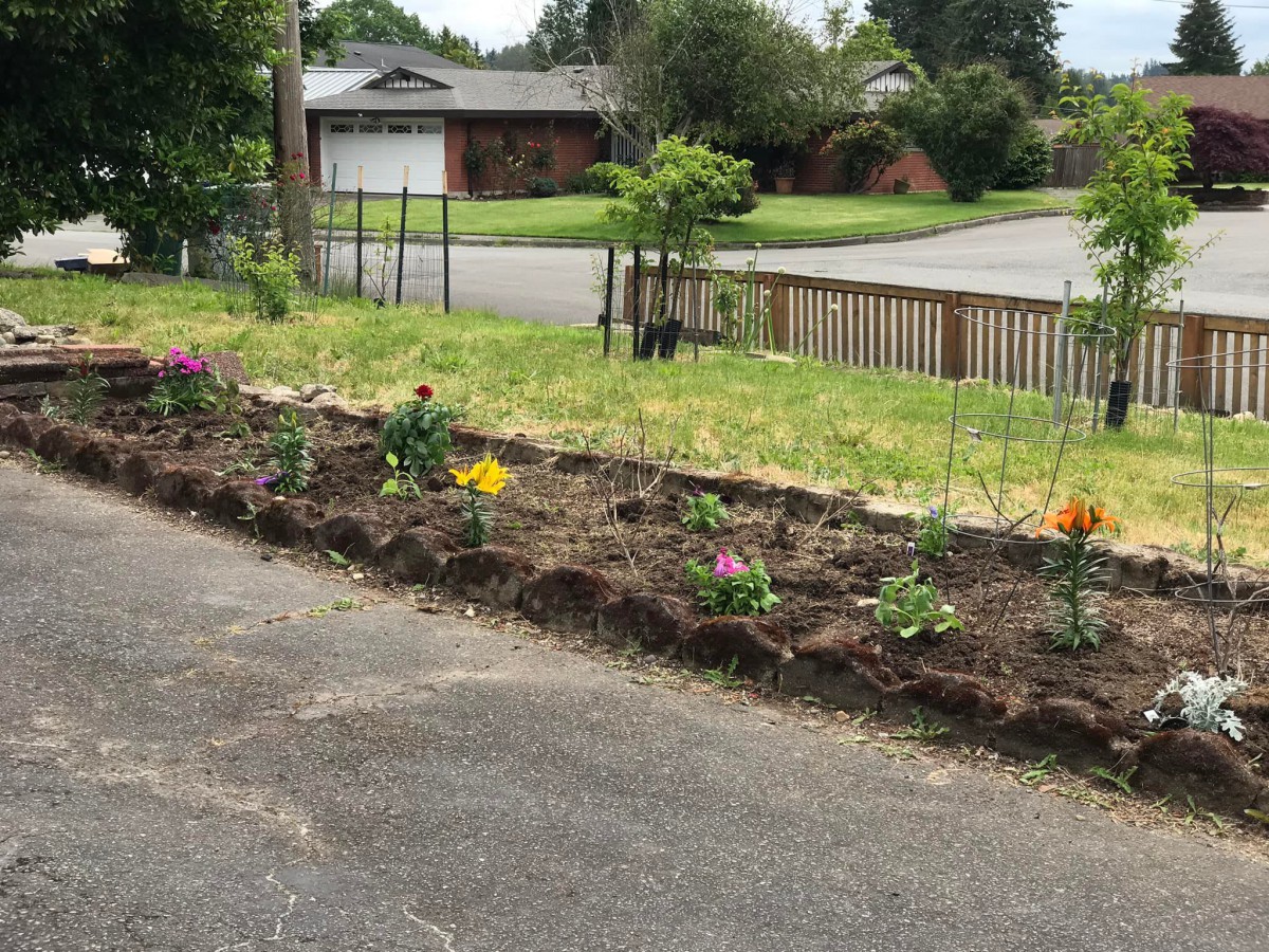 A newly planted flower garden alongside a residential driveway.