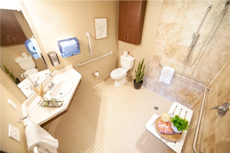 A well-lit bathroom with a sink, toilet, and decorative elements.