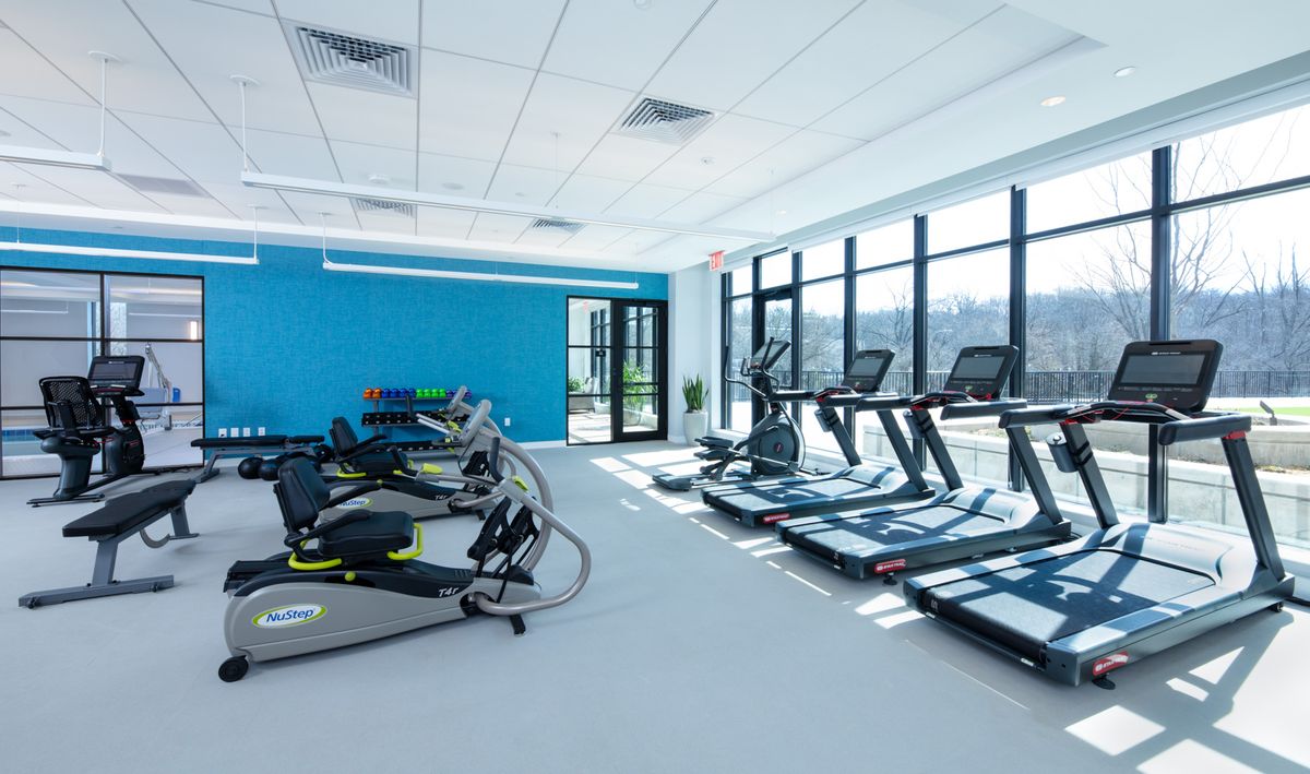 A modern gym featuring treadmills and elliptical machines in a bright, spacious room.