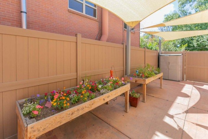 A well-organized backyard garden with elevated planters and a shade structure.