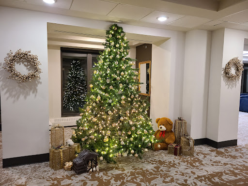 A beautifully decorated Christmas tree adorned with lights, surrounded by festive gifts.