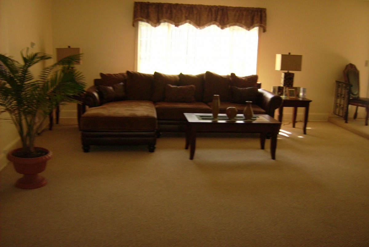 Hickory Bark Lane Homes