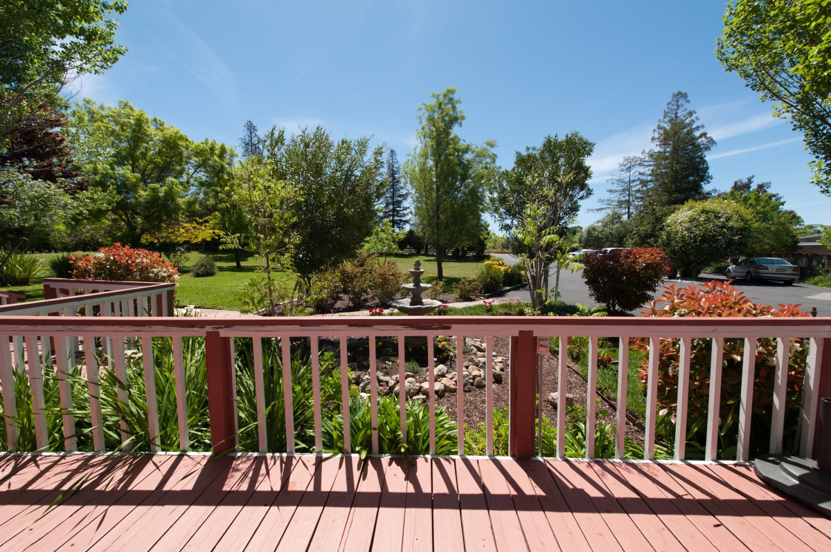 A scenic view of a lush garden from a wooden deck on a sunny day.