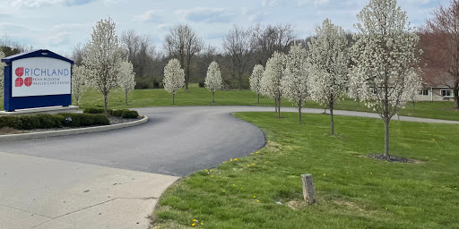 A serene park scene featuring blossoming trees lining a curved pathway.
