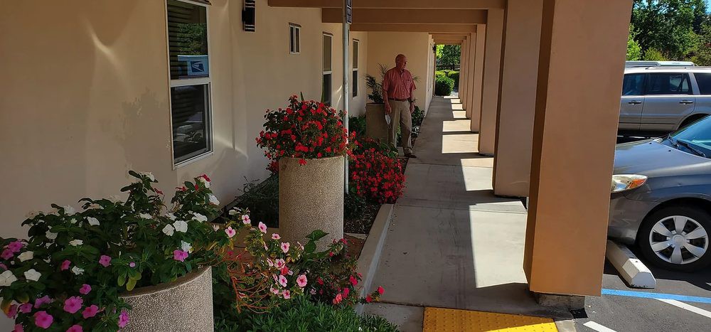 A sunny outdoor corridor adorned with colorful flowers and plants.