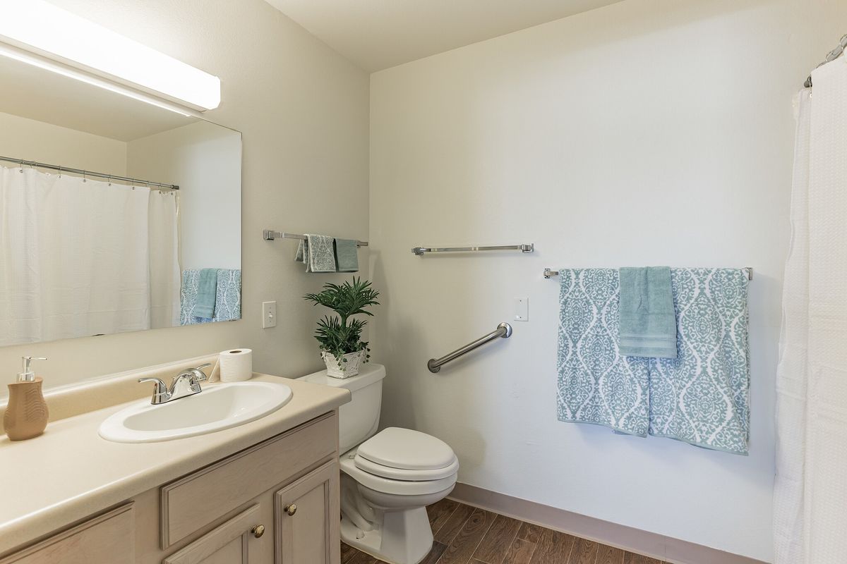 A well-lit bathroom with a sink, mirror, and toilet, decorated with towels and a potted plant.