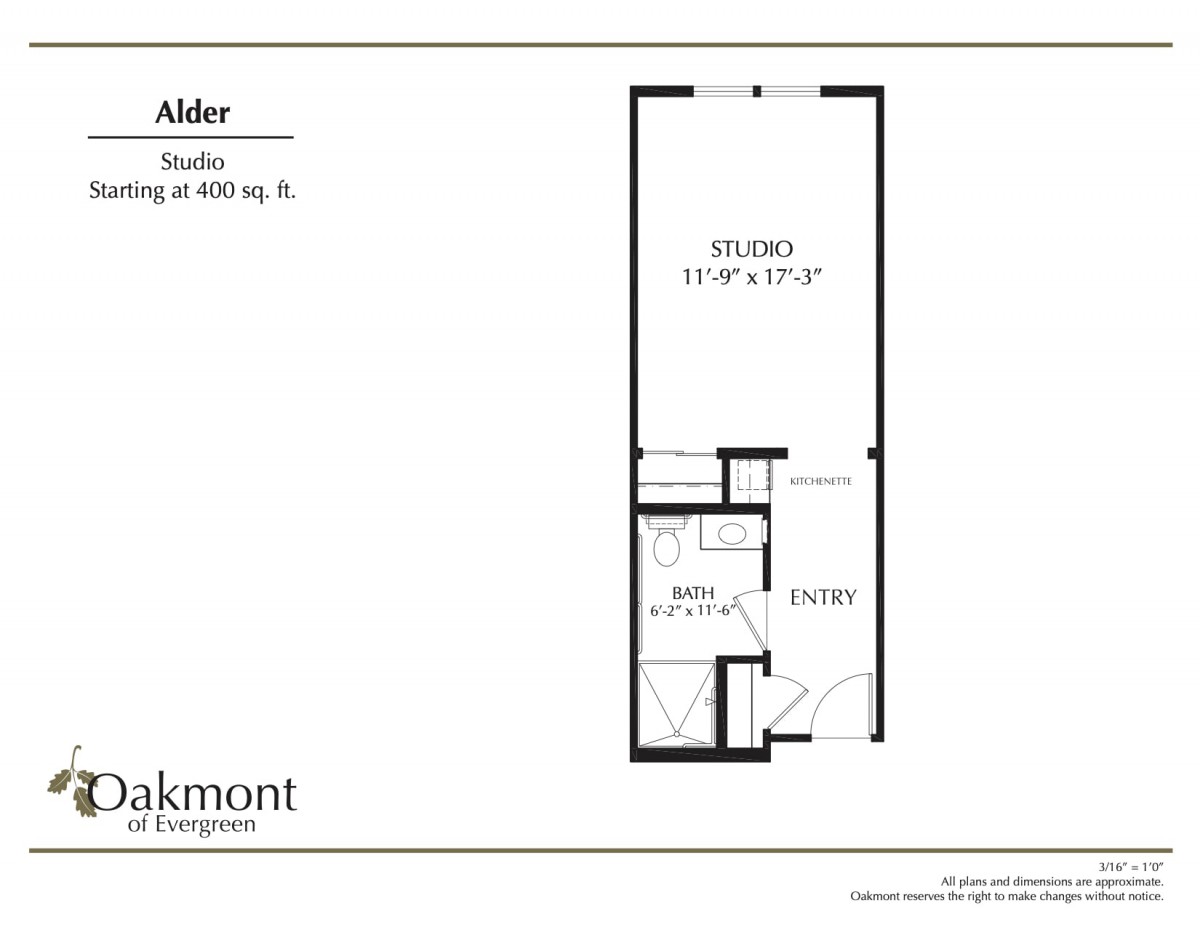 Floor plan of a studio apartment, labeled as 'Alder,' with dimensions and layout details.
