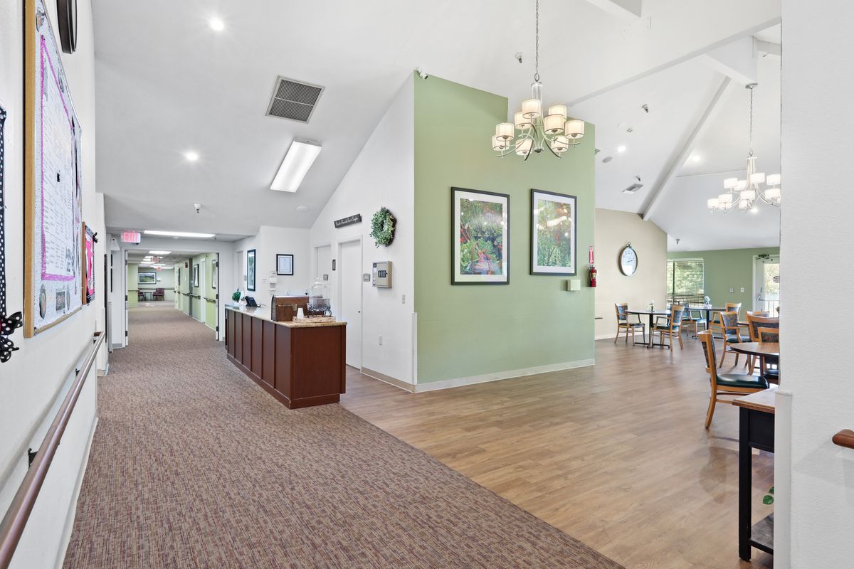 A modern lobby area with a reception desk, green accent wall, and hanging chandelier.