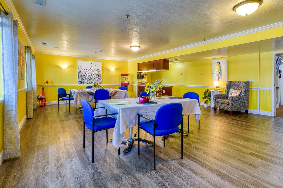 A bright and welcoming dining area with yellow walls, blue chairs, and wooden flooring.