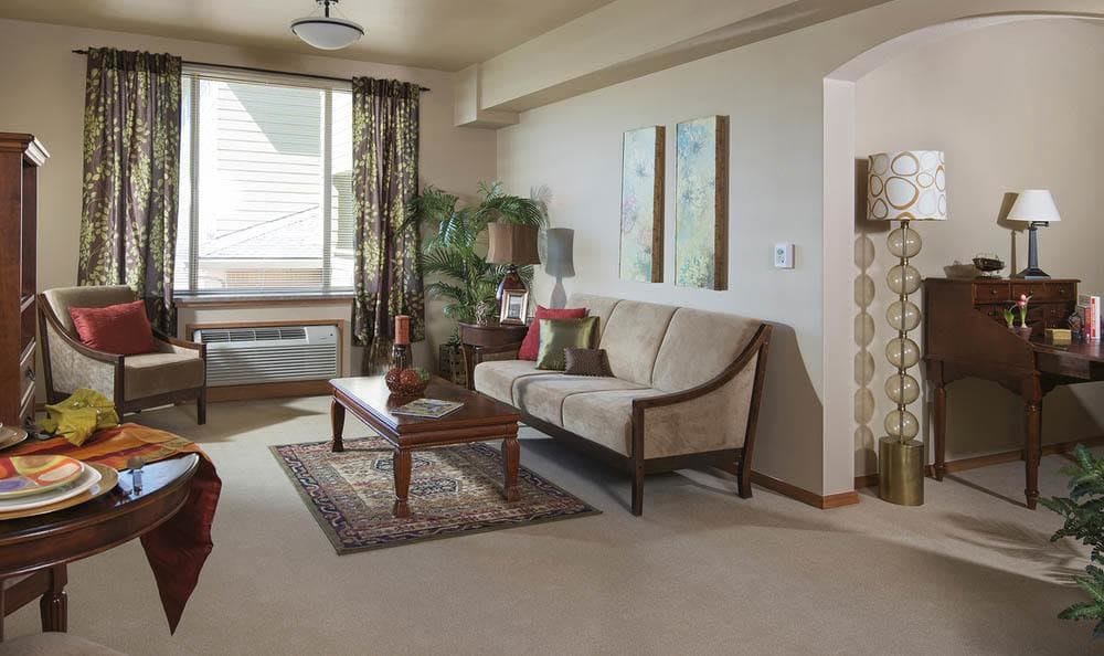 A cozy living room with a sofa, coffee table, houseplant, and decorative elements.