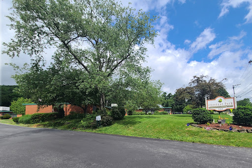 A scenic view of a grassy area with a large tree under a partly cloudy sky.