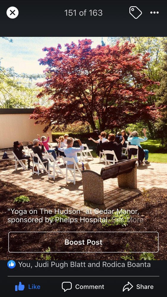 A group participates in a yoga session outdoors at Lyndhurst Manor.