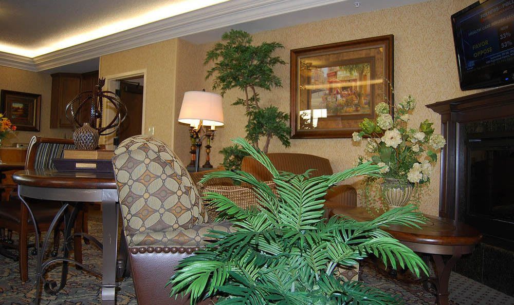 A cozy living room featuring indoor plants, comfortable furniture, a lamp, and framed artwork.