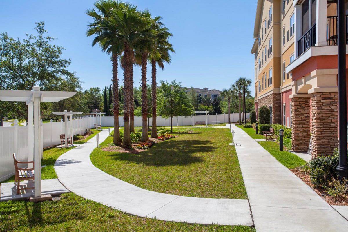 A landscaped outdoor area with a walkway, palm trees, and a nearby building.
