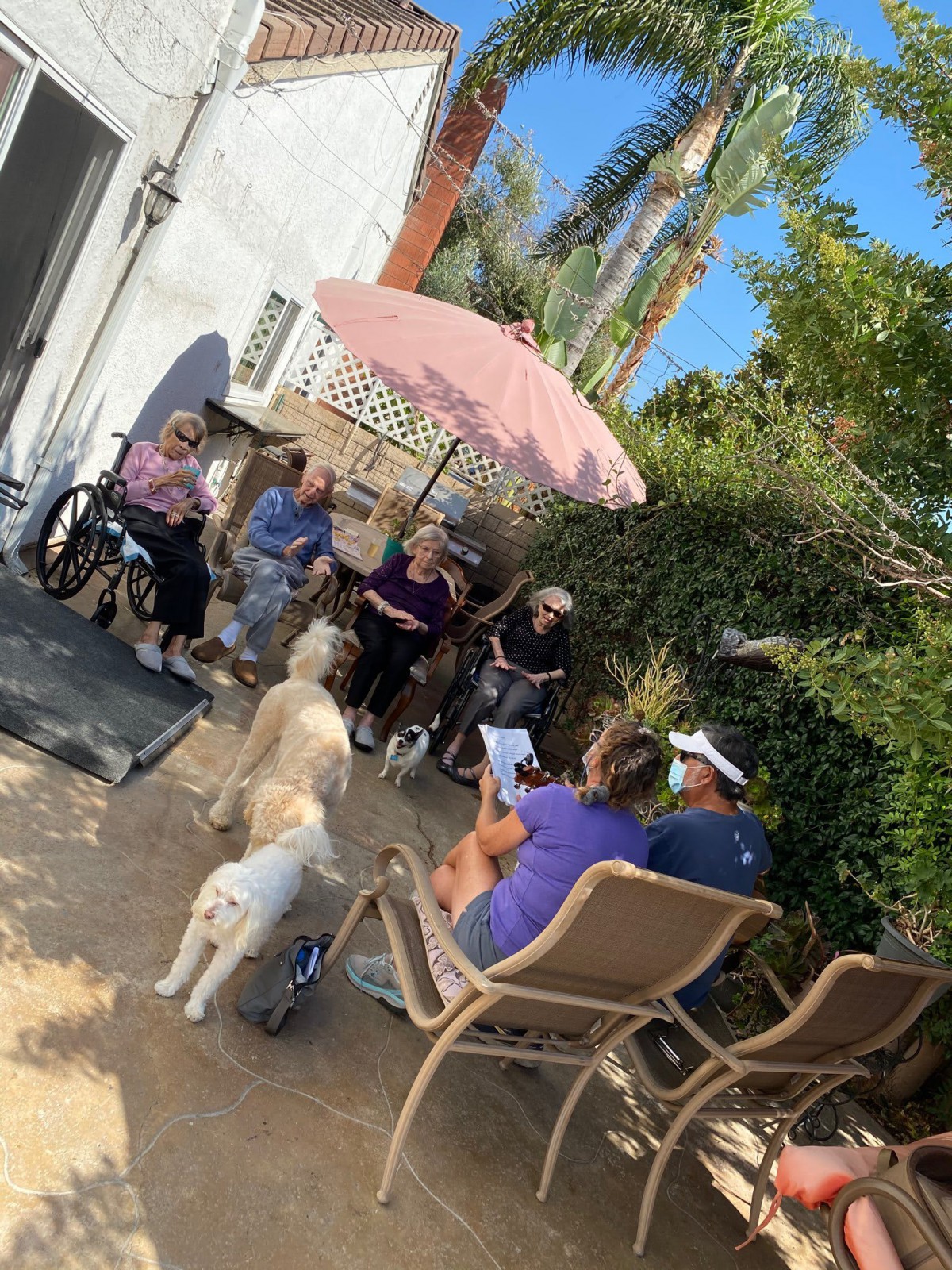 A group of people enjoying a sunny day on the patio with two dogs nearby.