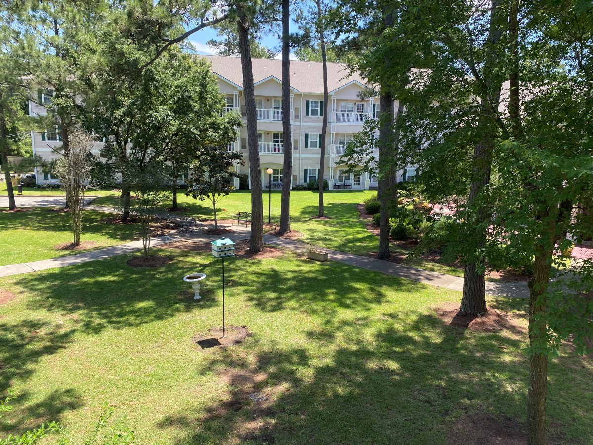 A scenic view of a garden with tall trees and a building in the background basking in sunlight.