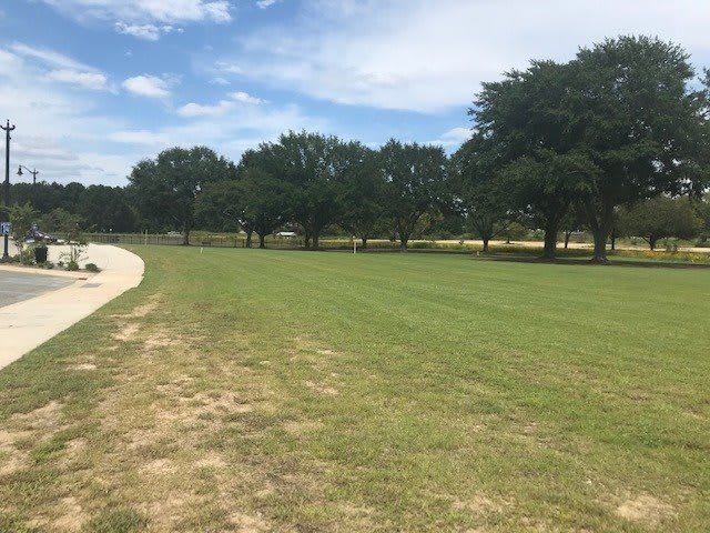 A sunny day in the park with a view of trees, grass, and a walking path.