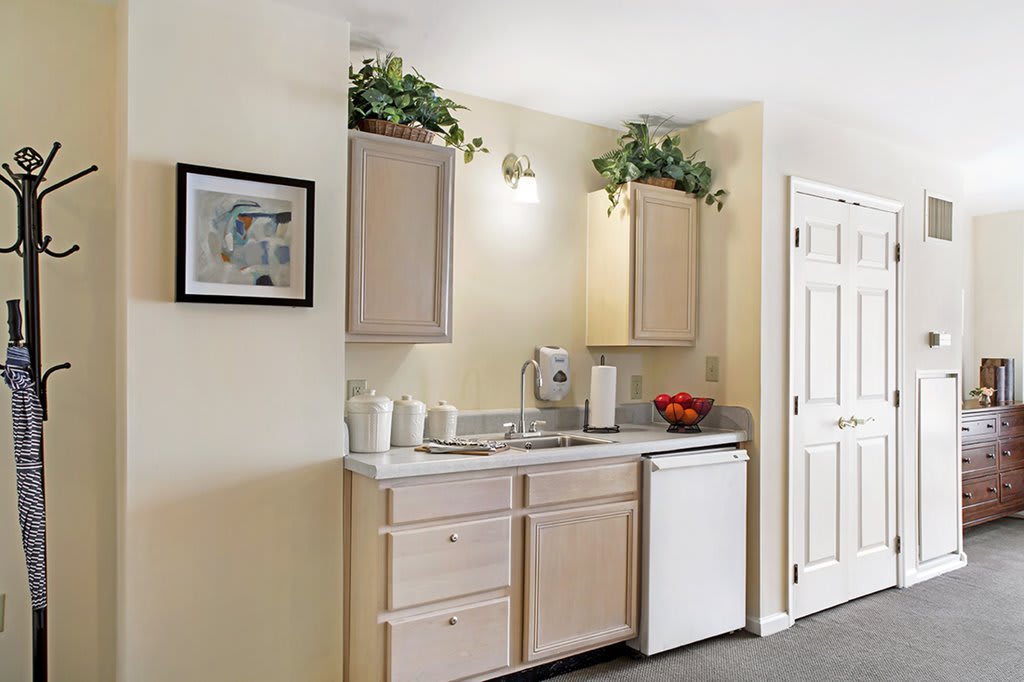 A compact kitchenette with light-colored cabinets, a sink, and a mini fridge, adorned with plants and wall art.