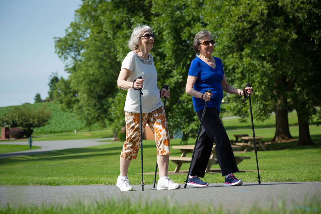 Two women enjoy a walk with trekking poles in a sunny park.