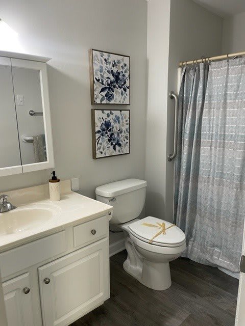 A tidy bathroom with a sink, mirror, toilet, and patterned shower curtain.