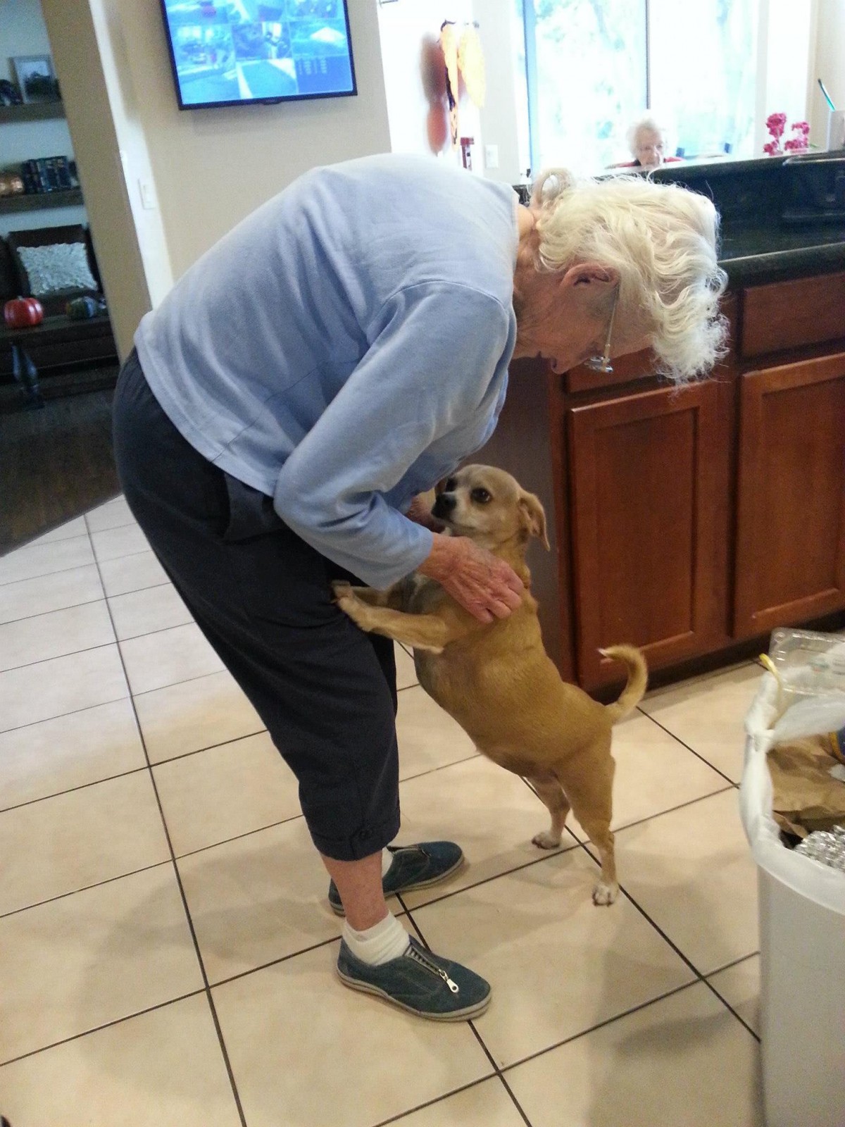 An elderly person shares a loving moment with a playful dog in the kitchen.