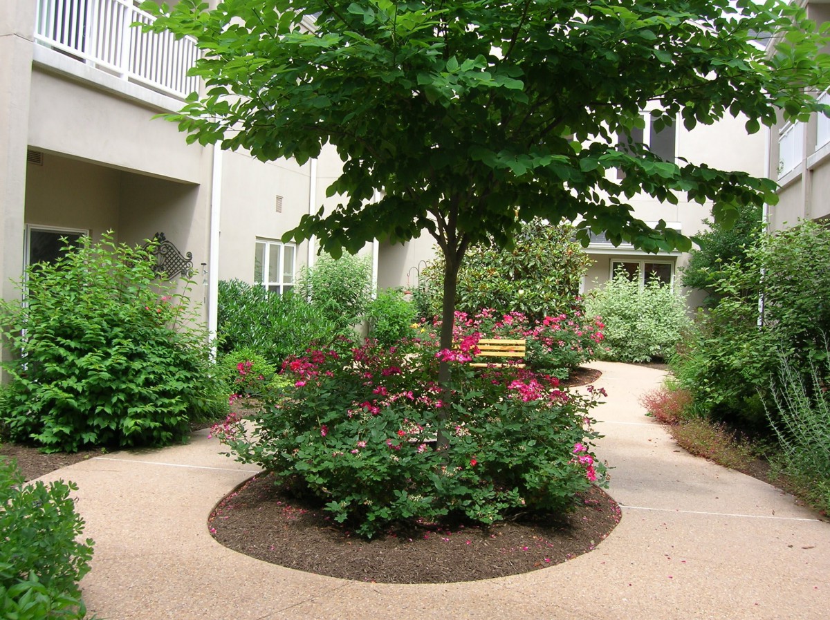 A serene garden with a central tree, surrounded by vibrant flowers and lush greenery.